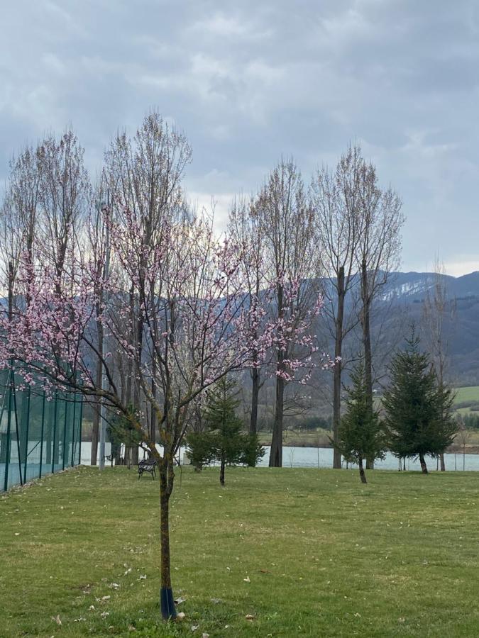 K'S Place Apartment Pravets Golf Resort 외부 사진
